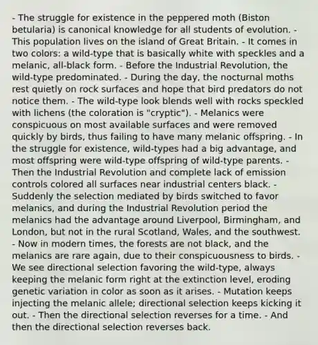 - The struggle for existence in the peppered moth (Biston betularia) is canonical knowledge for all students of evolution. - This population lives on the island of Great Britain. - It comes in two colors: a wild-type that is basically white with speckles and a melanic, all-black form. - Before the Industrial Revolution, the wild-type predominated. - During the day, the nocturnal moths rest quietly on rock surfaces and hope that bird predators do not notice them. - The wild-type look blends well with rocks speckled with lichens (the coloration is "cryptic"). - Melanics were conspicuous on most available surfaces and were removed quickly by birds, thus failing to have many melanic offspring. - In the struggle for existence, wild-types had a big advantage, and most offspring were wild-type offspring of wild-type parents. - Then the Industrial Revolution and complete lack of emission controls colored all surfaces near industrial centers black. - Suddenly the selection mediated by birds switched to favor melanics, and during the Industrial Revolution period the melanics had the advantage around Liverpool, Birmingham, and London, but not in the rural Scotland, Wales, and the southwest. - Now in modern times, the forests are not black, and the melanics are rare again, due to their conspicuousness to birds. - We see directional selection favoring the wild-type, always keeping the melanic form right at the extinction level, eroding genetic variation in color as soon as it arises. - Mutation keeps injecting the melanic allele; directional selection keeps kicking it out. - Then the directional selection reverses for a time. - And then the directional selection reverses back.