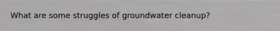 What are some struggles of groundwater cleanup?