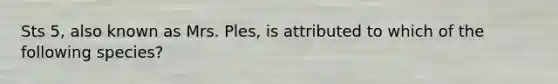Sts 5, also known as Mrs. Ples, is attributed to which of the following species?
