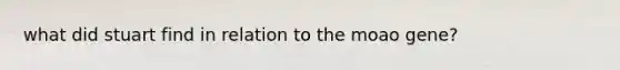 what did stuart find in relation to the moao gene?