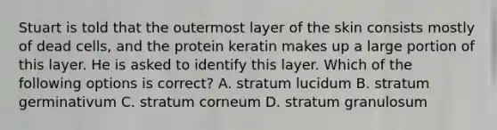 Stuart is told that the outermost layer of the skin consists mostly of dead​ cells, and the protein keratin makes up a large portion of this layer. He is asked to identify this layer. Which of the following options is​ correct? A. stratum lucidum B. stratum germinativum C. stratum corneum D. stratum granulosum