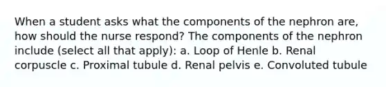 When a student asks what the components of the nephron are, how should the nurse respond? The components of the nephron include (select all that apply): a. Loop of Henle b. Renal corpuscle c. Proximal tubule d. Renal pelvis e. Convoluted tubule