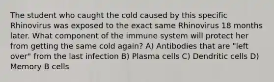 The student who caught the cold caused by this specific Rhinovirus was exposed to the exact same Rhinovirus 18 months later. What component of the immune system will protect her from getting the same cold again? A) Antibodies that are "left over" from the last infection B) Plasma cells C) Dendritic cells D) Memory B cells