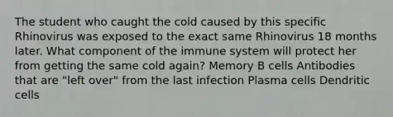 The student who caught the cold caused by this specific Rhinovirus was exposed to the exact same Rhinovirus 18 months later. What component of the immune system will protect her from getting the same cold again? Memory B cells Antibodies that are "left over" from the last infection Plasma cells Dendritic cells