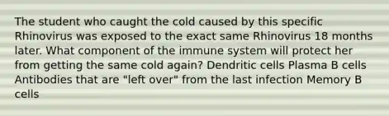 The student who caught the cold caused by this specific Rhinovirus was exposed to the exact same Rhinovirus 18 months later. What component of the immune system will protect her from getting the same cold again? Dendritic cells Plasma B cells Antibodies that are "left over" from the last infection Memory B cells