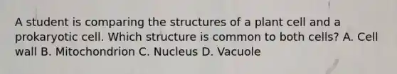 A student is comparing the structures of a plant cell and a prokaryotic cell. Which structure is common to both cells? A. Cell wall B. Mitochondrion C. Nucleus D. Vacuole