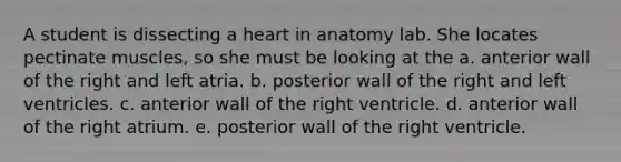 A student is dissecting a heart in anatomy lab. She locates pectinate muscles, so she must be looking at the a. anterior wall of the right and left atria. b. posterior wall of the right and left ventricles. c. anterior wall of the right ventricle. d. anterior wall of the right atrium. e. posterior wall of the right ventricle.