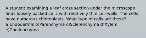 A student examining a leaf cross section under the microscope finds loosely packed cells with relatively thin cell walls. The cells have numerous chloroplasts. What type of cells are these? a)Endodermis b)Parenchyma c)Sclerenchyma d)Xylem e)Chollenchyma