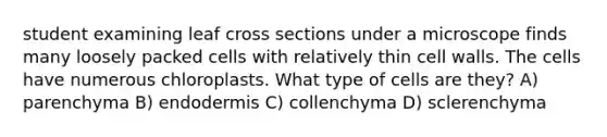 student examining leaf cross sections under a microscope finds many loosely packed cells with relatively thin cell walls. The cells have numerous chloroplasts. What type of cells are they? A) parenchyma B) endodermis C) collenchyma D) sclerenchyma