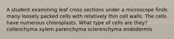 A student examining leaf cross sections under a microscope finds many loosely packed cells with relatively thin cell walls. The cells have numerous chloroplasts. What type of cells are they? collenchyma xylem parenchyma sclerenchyma endodermis