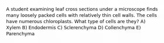 A student examining leaf cross sections under a microscope finds many loosely packed cells with relatively thin cell walls. The cells have numerous chloroplasts. What type of cells are they? A) Xylem B) Endodermis C) Sclerenchyma D) Collenchyma E) Parenchyma