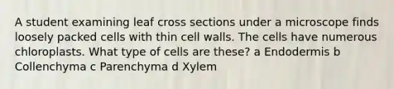 A student examining leaf cross sections under a microscope finds loosely packed cells with thin cell walls. The cells have numerous chloroplasts. What type of cells are these? a Endodermis b Collenchyma c Parenchyma d Xylem