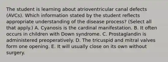 The student is learning about atrioventricular canal defects (AVCs). Which information stated by the student reflects appropriate understanding of the disease process? (Select all that apply.) A. Cyanosis is the cardinal manifestation. B. It often occurs in children with Down syndrome. C. Prostaglandin is administered preoperatively. D. The tricuspid and mitral valves form one opening. E. It will usually close on its own without surgery.