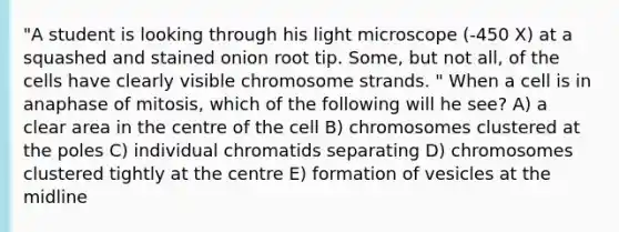 "A student is looking through his light microscope (-450 X) at a squashed and stained onion root tip. Some, but not all, of the cells have clearly visible chromosome strands. " When a cell is in anaphase of mitosis, which of the following will he see? A) a clear area in the centre of the cell B) chromosomes clustered at the poles C) individual chromatids separating D) chromosomes clustered tightly at the centre E) formation of vesicles at the midline