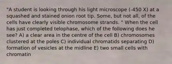 "A student is looking through his light microscope (-450 X) at a squashed and stained onion root tip. Some, but not all, of the cells have clearly visible chromosome strands. " When the cell has just completed telophase, which of the following does he see? A) a clear area in the centre of the cell B) chromosomes clustered at the poles C) individual chromatids separating D) formation of vesicles at the midline E) two small cells with chromatin