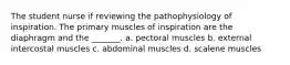 The student nurse if reviewing the pathophysiology of inspiration. The primary muscles of inspiration are the diaphragm and the _______. a. pectoral muscles b. external intercostal muscles c. abdominal muscles d. scalene muscles