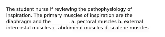 The student nurse if reviewing the pathophysiology of inspiration. The primary muscles of inspiration are the diaphragm and the _______. a. pectoral muscles b. external intercostal muscles c. abdominal muscles d. scalene muscles