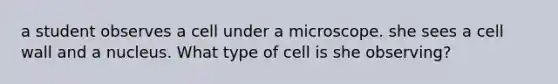 a student observes a cell under a microscope. she sees a cell wall and a nucleus. What type of cell is she observing?