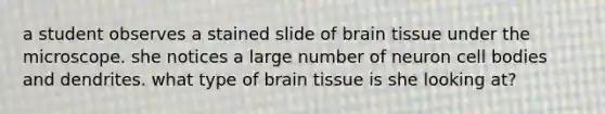 a student observes a stained slide of brain tissue under the microscope. she notices a large number of neuron cell bodies and dendrites. what type of brain tissue is she looking at?