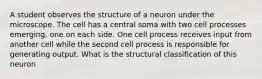 A student observes the structure of a neuron under the microscope. The cell has a central soma with two cell processes emerging, one on each side. One cell process receives input from another cell while the second cell process is responsible for generating output. What is the structural classification of this neuron