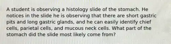 A student is observing a histology slide of the stomach. He notices in the slide he is observing that there are short gastric pits and long gastric glands, and he can easily identify chief cells, parietal cells, and mucous neck cells. What part of the stomach did the slide most likely come from?