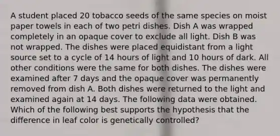 A student placed 20 tobacco seeds of the same species on moist paper towels in each of two petri dishes. Dish A was wrapped completely in an opaque cover to exclude all light. Dish B was not wrapped. The dishes were placed equidistant from a light source set to a cycle of 14 hours of light and 10 hours of dark. All other conditions were the same for both dishes. The dishes were examined after 7 days and the opaque cover was permanently removed from dish A. Both dishes were returned to the light and examined again at 14 days. The following data were obtained. Which of the following best supports the hypothesis that the difference in leaf color is genetically controlled?