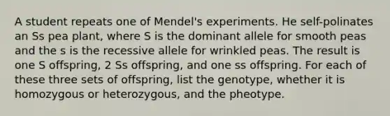 A student repeats one of Mendel's experiments. He self-polinates an Ss pea plant, where S is the dominant allele for smooth peas and the s is the recessive allele for wrinkled peas. The result is one S offspring, 2 Ss offspring, and one ss offspring. For each of these three sets of offspring, list the genotype, whether it is homozygous or heterozygous, and the pheotype.