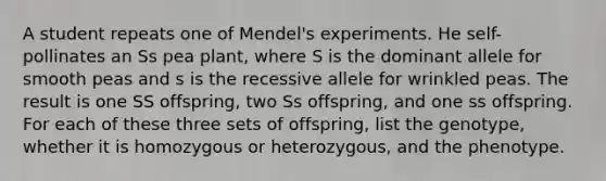 A student repeats one of Mendel's experiments. He self-pollinates an Ss pea plant, where S is the dominant allele for smooth peas and s is the recessive allele for wrinkled peas. The result is one SS offspring, two Ss offspring, and one ss offspring. For each of these three sets of offspring, list the genotype, whether it is homozygous or heterozygous, and the phenotype.