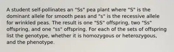 A student self-pollinates an "Ss" pea plant where "S" is the dominant allele for smooth peas and "s" is the recessive allele for wrinkled peas. The result is one "SS" offspring, two "Ss" offspring, and one "ss" offspring. For each of the sets of offspring list the genotype, whether it is homozygous or heterozygous, and the phenotype.