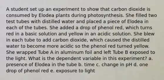 A student set up an experiment to show that carbon dioxide is consumed by Elodea plants during photosynthesis. She filled two test tubes with distilled water and placed a piece of Elodea in each of the tubes. She added a drop of phenol red, which turns red in a basic solution and yellow in an acidic solution. She blew in each tube to add carbon dioxide, which caused the distilled water to become more acidic so the phenol red turned yellow. She wrapped Tube A in aluminum foil and left Tube B exposed to the light. What is the dependent variable in this experiment? a. presence of Elodea in the tube b. time c. change in pH d. one drop of phenol red e. exposure to light