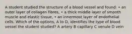 A student studied the structure of a blood vessel and found: • an outer layer of collagen fibres, • a thick middle layer of smooth muscle and elastic tissue, • an innermost layer of endothelial cells. Which of the options, A to D, identifies the type of blood vessel the student studied? A artery B capillary C venule D vein