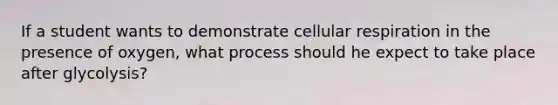 If a student wants to demonstrate cellular respiration in the presence of oxygen, what process should he expect to take place after glycolysis?