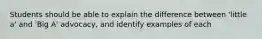 Students should be able to explain the difference between 'little a' and 'Big A' advocacy, and identify examples of each