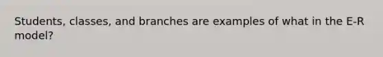 Students, classes, and branches are examples of what in the E-R model?