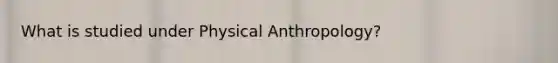 What is studied under Physical Anthropology?
