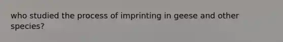 who studied the process of imprinting in geese and other species?