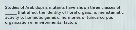 Studies of Arabidopsis mutants have shown three classes of ______ that affect the identity of floral organs. a. meristematic activity b. homeotic genes c. hormones d. tunica-corpus organization e. environmental factors