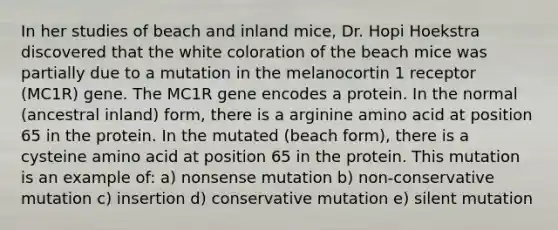 In her studies of beach and inland mice, Dr. Hopi Hoekstra discovered that the white coloration of the beach mice was partially due to a mutation in the melanocortin 1 receptor (MC1R) gene. The MC1R gene encodes a protein. In the normal (ancestral inland) form, there is a arginine amino acid at position 65 in the protein. In the mutated (beach form), there is a cysteine amino acid at position 65 in the protein. This mutation is an example of: a) nonsense mutation b) non-conservative mutation c) insertion d) conservative mutation e) silent mutation