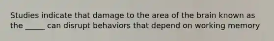 Studies indicate that damage to the area of the brain known as the _____ can disrupt behaviors that depend on working memory