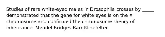 Studies of rare white-eyed males in Drosophila crosses by _____ demonstrated that the gene for white eyes is on the X chromosome and confirmed the chromosome theory of inheritance. Mendel Bridges Barr Klinefelter