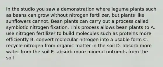 In the studio you saw a demonstration where legume plants such as beans can grow without nitrogen fertilizer, but plants like sunflowers cannot. Bean plants can carry out a process called symbiotic nitrogen fixation. This process allows bean plants to A. use nitrogen fertilizer to build molecules such as proteins more efficiently B. convert molecular nitrogen into a usable form C. recycle nitrogen from organic matter in the soil D. absorb more water from the soil E. absorb more mineral nutrients from the soil