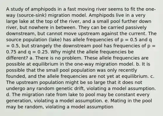 A study of amphipods in a fast moving river seems to fit the one-way (source-sink) migration model. Amphipods live in a very large lake at the top of the river, and a small pool further down river, but nowhere in between. They can be carried passively downstream, but cannot move upstream against the current. The source population (lake) has allele frequencies of p = 0.5 and q = 0.5, but strangely the downstream pool has frequencies of p = 0.75 and q = 0.25. Why might the allele frequencies be different? a. There is no problem. These allele frequencies are possible at equilibrium in the one-way migration model. b. It is possible that the small pool population was only recently founded, and the allele frequencies are not yet at equilibrium. c. The upstream population might be so large that it does not undergo any random genetic drift, violating a model assumption. d. The migration rate from lake to pool may be constant every generation, violating a model assumption. e. Mating in the pool may be random, violating a model assumption