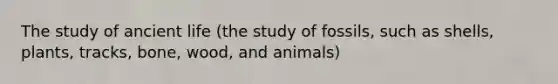 The study of ancient life (the study of fossils, such as shells, plants, tracks, bone, wood, and animals)