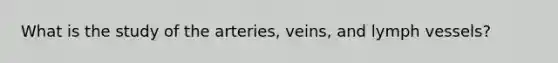 What is the study of the arteries, veins, and lymph vessels?