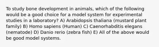 To study bone development in animals, which of the following would be a good choice for a model system for experimental studies in a laboratory? A) Arabidopsis thaliana (mustard plant family) B) Homo sapiens (Human) C) Caenorhabditis elegans (nematode) D) Danio rerio (zebra fish) E) All of the above would be good model systems.