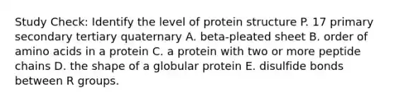 Study Check: Identify the level of protein structure P. 17 primary secondary tertiary quaternary A. beta-pleated sheet B. order of <a href='https://www.questionai.com/knowledge/k9gb720LCl-amino-acids' class='anchor-knowledge'>amino acids</a> in a protein C. a protein with two or more peptide chains D. the shape of a globular protein E. disulfide bonds between R groups.