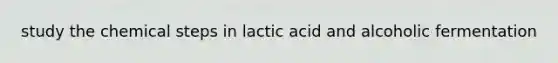 study the chemical steps in lactic acid and alcoholic fermentation