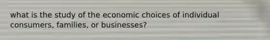 what is the study of the economic choices of individual consumers, families, or businesses?