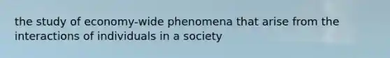 the study of economy-wide phenomena that arise from the interactions of individuals in a society