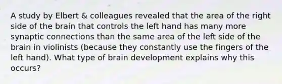 A study by Elbert & colleagues revealed that the area of the right side of the brain that controls the left hand has many more synaptic connections than the same area of the left side of the brain in violinists (because they constantly use the fingers of the left hand). What type of brain development explains why this occurs?